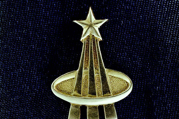 NASA astronaut pin.